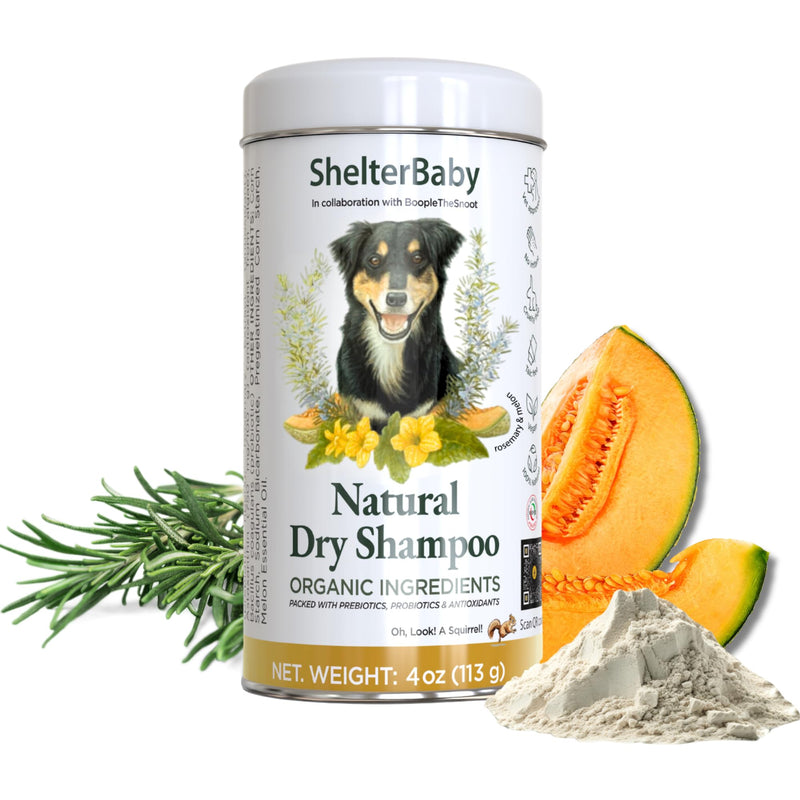 Dog Powder for Itchy Skin, Hot Spots & Yeasty Paws – Dry Shampoo for Sensitive Skin with Probiotics, Antioxidants & Prebiotics - Waterless - PawsPlanet Australia