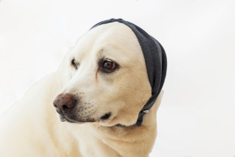 Calming Dog Ear Cover - Anti-Anxiety & Stress Relief Neck Gaiter for Surgery Recovery, Bathing, Grooming, Thunder & Fireworks Grey L Large