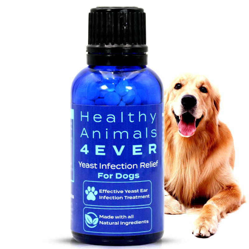 HealthyAnimals4Ever All-Natural Yeast Protection for Dogs - Effective Homeopathic Support for Yeast Infections - Preventive Care for Skin and Ear Health - 300 Dog Yeast Defense Tablets - PawsPlanet Australia