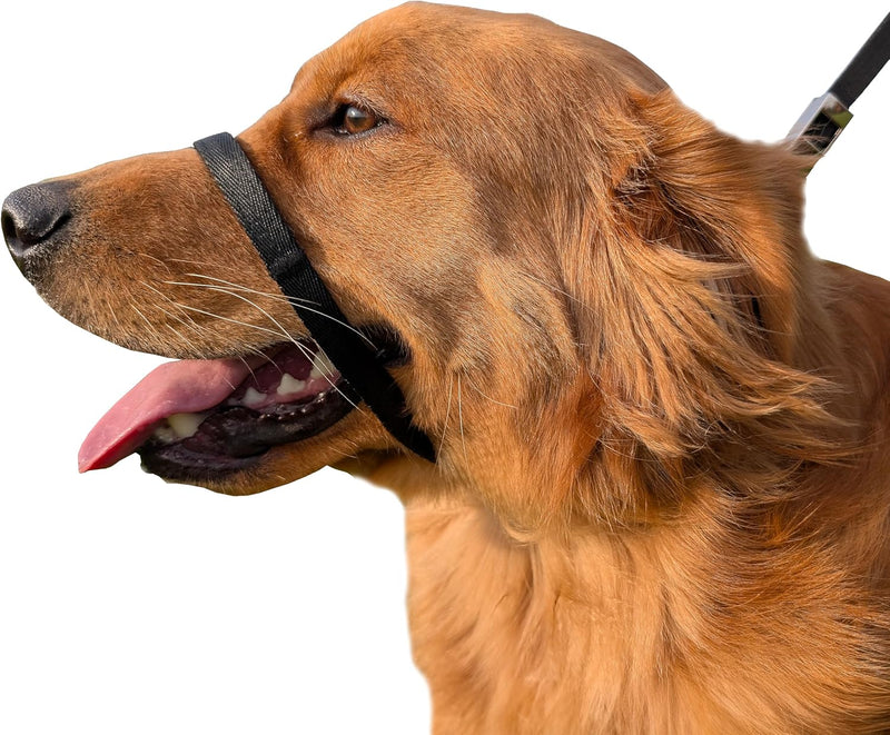 PetsProMax No-Pull Dog Headcollar for Large Dogs (Agressive/Reactive Dogs; Instant Stop Pulling; Gentle Training Collar for Dogs; Comfortable, Safe, and Effective Walking/Training Solution (Black, L) 0.5 Inch Wide Large (L) - BeesActive Australia