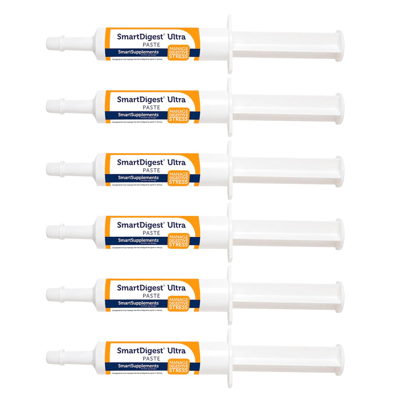 SmartPak SmartDigest Ultra Paste Digestive Health and Support Horse Supplement | Provides Prebiotics, Probiotics, Digestive Enzymes, Butterscotch Flavor, Pack of 6 Tubes - PawsPlanet Australia