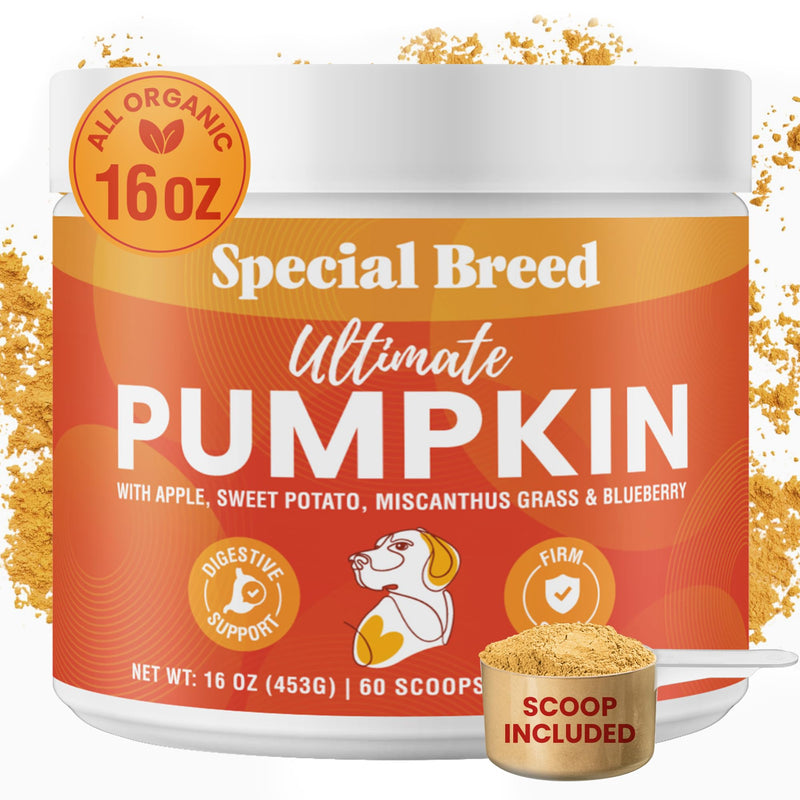 Ultimate Pumpkin for Dogs (16 oz) - with Organic Pumpkin, Apple, Sweet Potato, Miscanthus Grass & Blueberry, Digestive Support Relief for Constipation, Loose Stools, and Upset Stomaches, 60 Scoops - PawsPlanet Australia