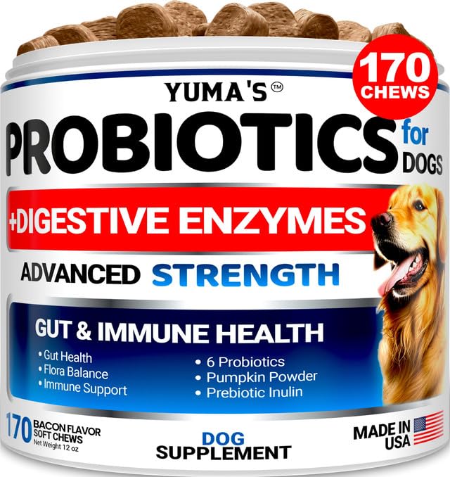 Probiotics for Dogs and Digestive Enzymes - 170 Dog Probiotics Chews - Dog Probiotic - Anti Diarrhea, Upset Stomach & Gas Relief, Canine Prebiotic - Pet Fiber Supplement - Bacon Flavor 170 Chews - BeesActive Australia