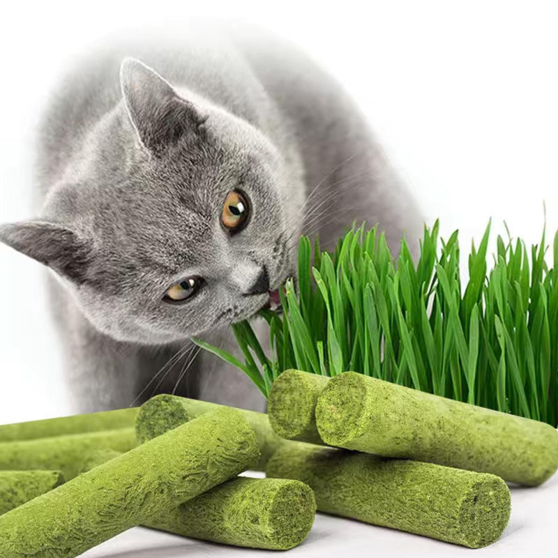 30g Cat Grass Sticks, Freeze Dried Cats Grass Teething Stick, Edible Cat Chew Toy for Teeth Cleaning Dental Health and Hairball Removal 30g
