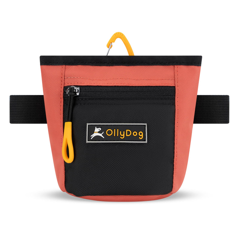OllyDog Goodie Treat Bag, Dog Treat Pouch, Waist Belt Clip for Hands-Free Training, Magnetic Closure, Dog Training and Behavior Aids, Three Ways to Wear (Reef) Reef - BeesActive Australia