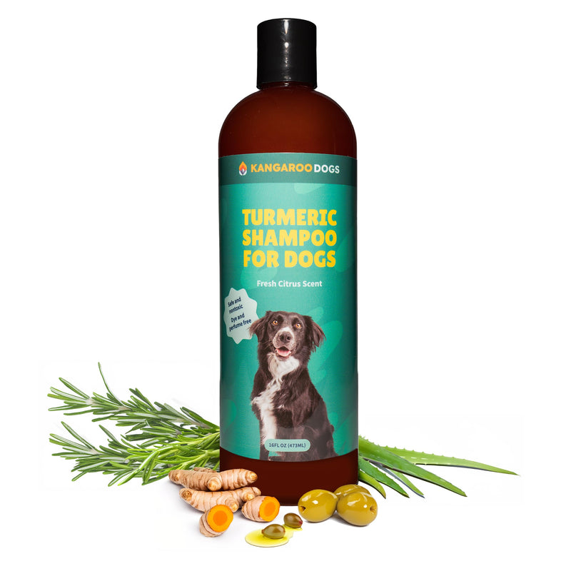 Turmeric Shampoo for Dogs, Helps Sensitive Skin & Allergies, Anti-Itch Shampoo, Dog Skin and Coat Supplement with All Natural Ingredients & Organic Turmeric, Dye & Perfume Free (16 OZ) - PawsPlanet Australia