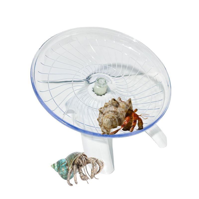 Funny Hermit Crab Running Wheel Climb Toy, Hamster Reptiles Running Flying Wheel Saucer, Cute Running Wheel for Guinea Pig Small Pet Animals Tree Frog Hamster Lizard Salamander Hermit Crab (White) White - BeesActive Australia