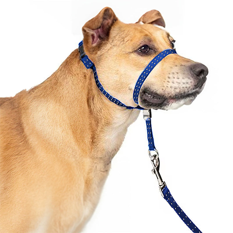 Headcollar for Dogs, Extra Soft Padded, Reflective, No Pull Dog Collar, Gentle Leader for Dogs with Durable Nylon Leash, Padded Handle - Navy Blue (X-Large) X-Large - BeesActive Australia