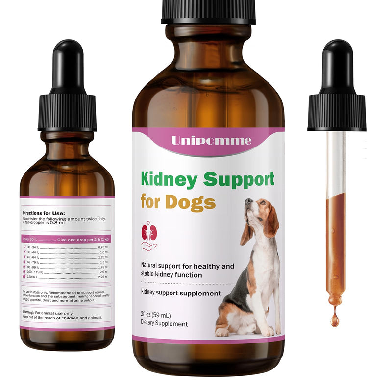 Kidney Support Supplement for Dogs - Supports Kidney Function Health in Dog - Natural Herbal Drops 2 oz - Improve Blood in Urine, Lack of Appetite, Weight Loss, Excessive Drinking, Lethargy, Dull Coat - PawsPlanet Australia