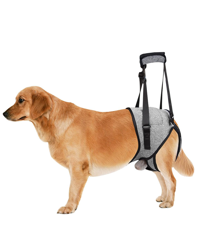 Dog Lift Harness Medium Sized Dogs, Sling for Medium Dogs Back Legs, Adjustable Soft Padded Dog Support Harness for Back Legs for Elderly, Injured, Arthritic, Disabled Dogs, M - BeesActive Australia