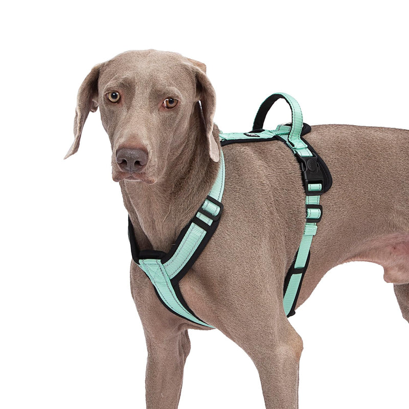 Dog Harness with Security Lock Buckle for Small Medium Large Dogs, Adjustable Dog Cooling Vest, Reflective No Pull No Choke Harness for Trail Running, Walking, Hiking, Camping 519-Green Extra Large - BeesActive Australia