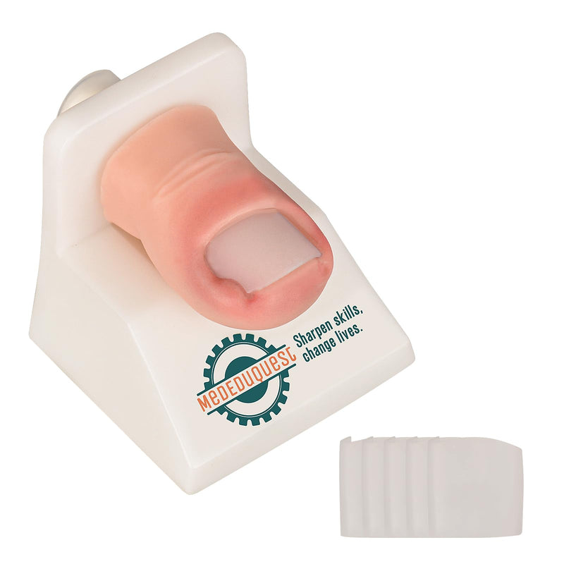 Ingrown Toenail Trainer Kit with Base,Ingrown Toenail Simulator for Medical Education, Wound Care Training Model