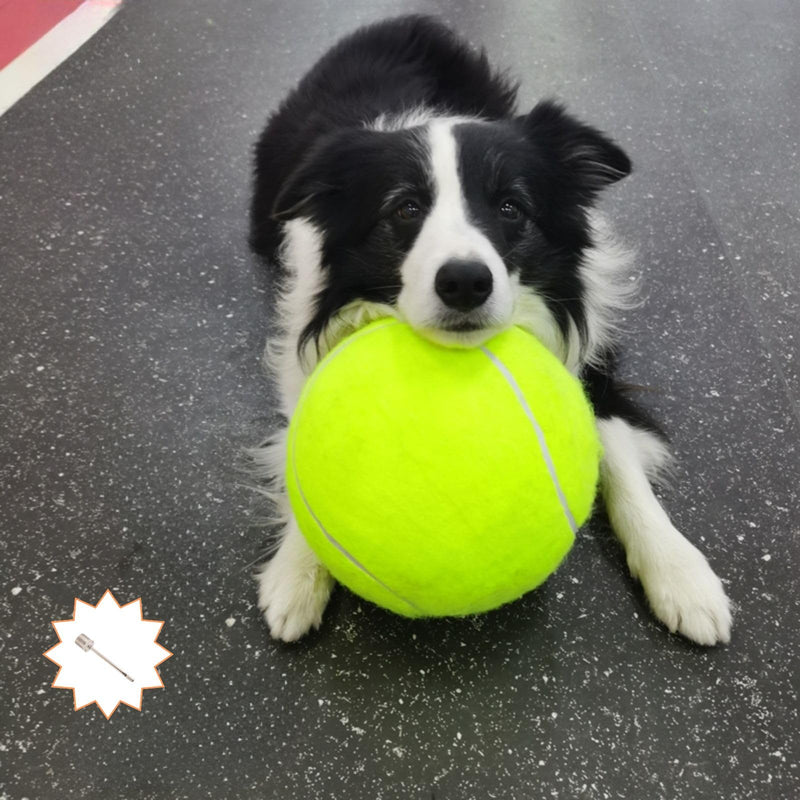 Giant Tennis Balls for Dogs 9.5" with Inflating Needles for Small Medium Large Dog Toys Ball