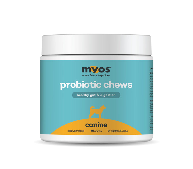 MYOS Probiotic Chew for Dogs - Daily Digestive Support, Promotes Complete Gut Health, Aids Digestion, Enhances Nutrient Absorption, Supports Healthy Stool - All-in-One Chewable Supplement - PawsPlanet Australia