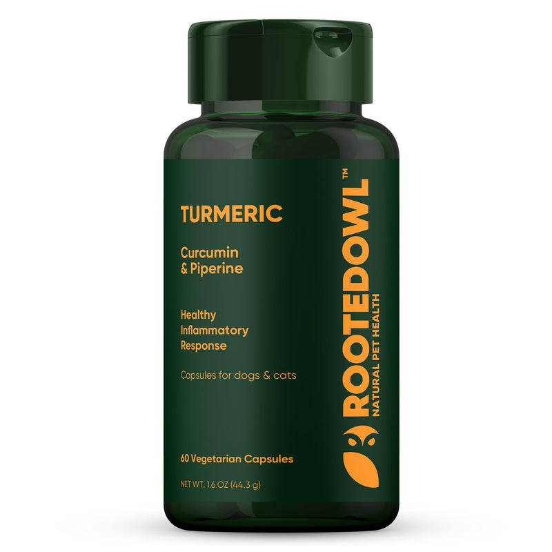 Turmeric - Turmeric Supplement for Dogs and Cats - with Curcumin, Piperine and Vitamin C for Anti-Inflammatory Relief - 60/ct - BeesActive Australia