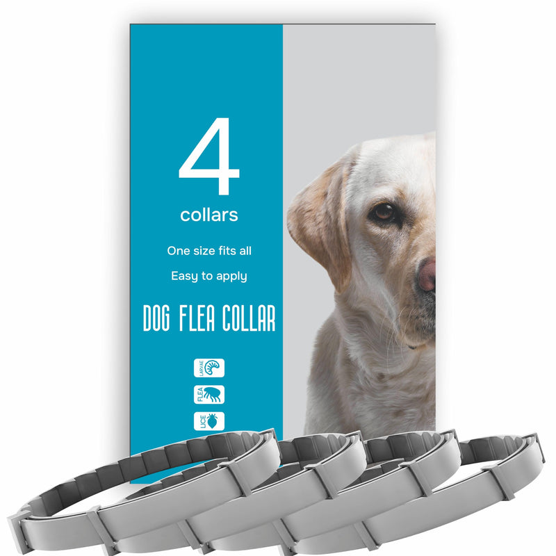Flea and Tick Prevention for Dogs - Flea Collar - 4 Count - BeesActive Australia
