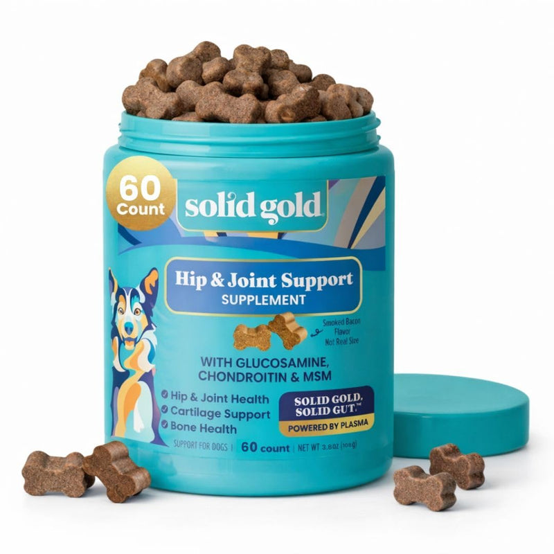 Solid Gold Hip and Joint Supplement for Dogs - Glucosamine Chondroitin MSM for Advanced Joint & Mobility Support - Omega 3 Fish Oil Antioxidant & Immune Health Support Complete Joint Health - 60 Chews