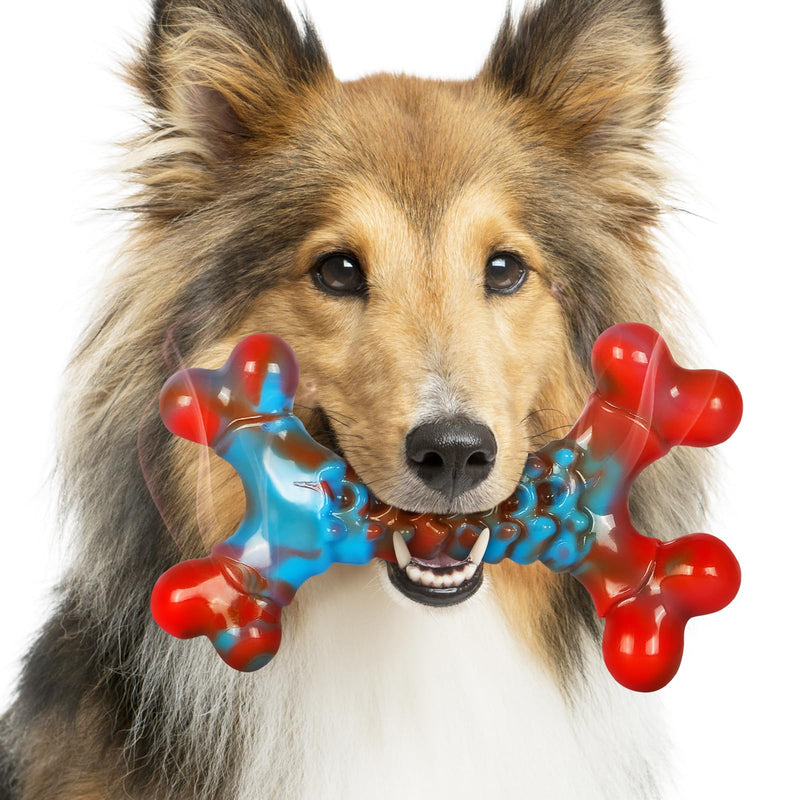 Dog Chew Toys for Aggressive Chewers Tough Dog Toys, Almost Indestructible Dog Toy for Teething, Aggressive Chewers for Large Medium Dogs, Tough Chew Toys for Dogs for Boredom Medium & Large (Pack of 1) - BeesActive Australia