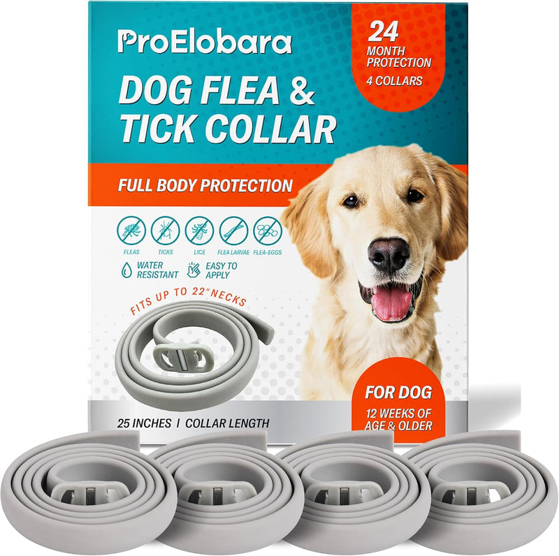 Dog Flea Tick Prevention Collar: Effective Flea Collar and Prevention for Dogs - Safe Dog Ticks Fleas Collars - Reliable Tick Flea Collars for Dogs - 24 Month Protection 4-Pack… 4 Pack - BeesActive Australia