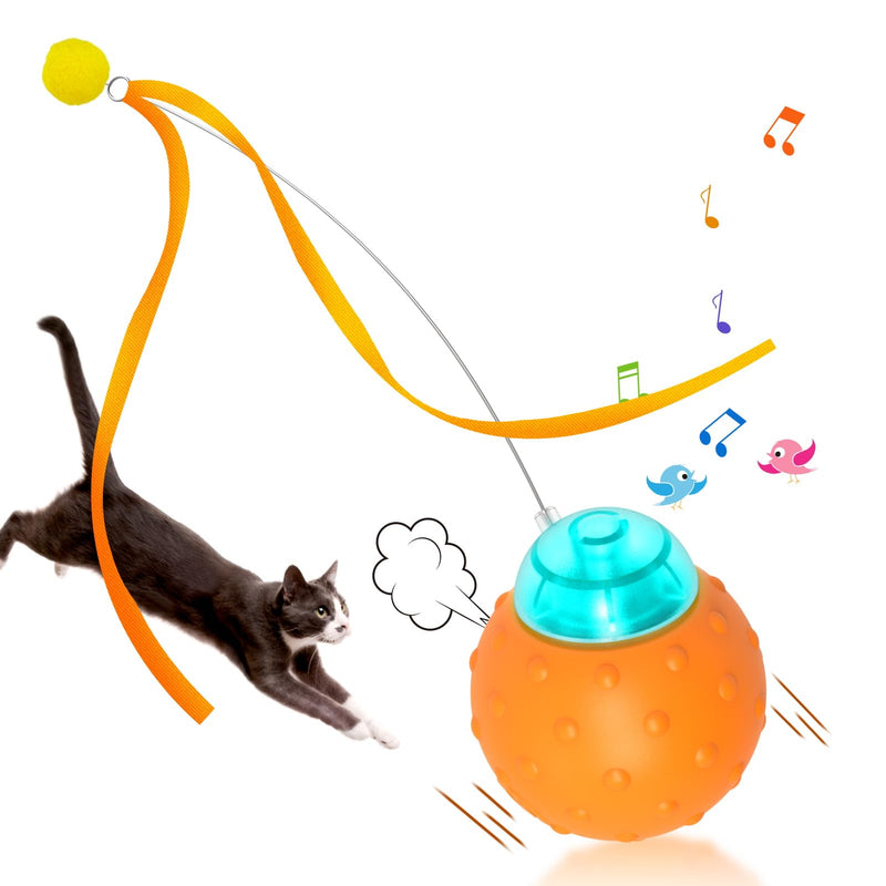 Interactive Cat Toys Balls, Automatic Moving Cat Toys for Indoor Cats, Self Rotating Ball with Motion Activated, Electric Cat Mouse Toys, USB Rechargeable - BeesActive Australia