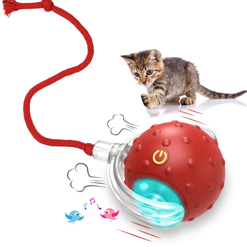 Cat Toys Interactive with Motion Activated & Chirping, Rolling Super Fast on Carpet Happy Party Game with Kittens - Red - BeesActive Australia
