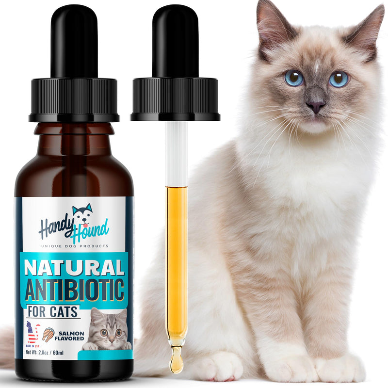 Antibiotics for Cats - Cat Allergy Relief for Cats - Perfect for Cat Sneezing Treatment and Cold Remedy for Cats - PawsPlanet Australia