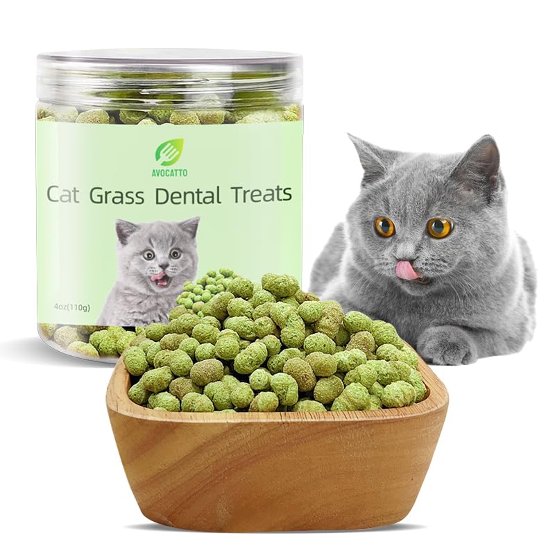Cat Grass Dental Crunchy Treats, Natural Tasty Dental Care Snacks for Cats, Healthy Teeth Cleaning & Freshen Breath - BeesActive Australia