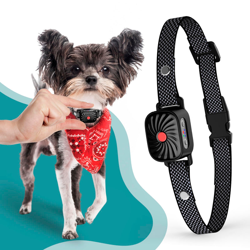 Bark Collar for Small/Medium Dogs, No Shock Anti Bark Collar, Rechargeable Anti Barking Collar w/2 Vibration & Beep Modes, Waterproof Shockless Smart Dog Stop Barking Control Device (Black) Black - BeesActive Australia