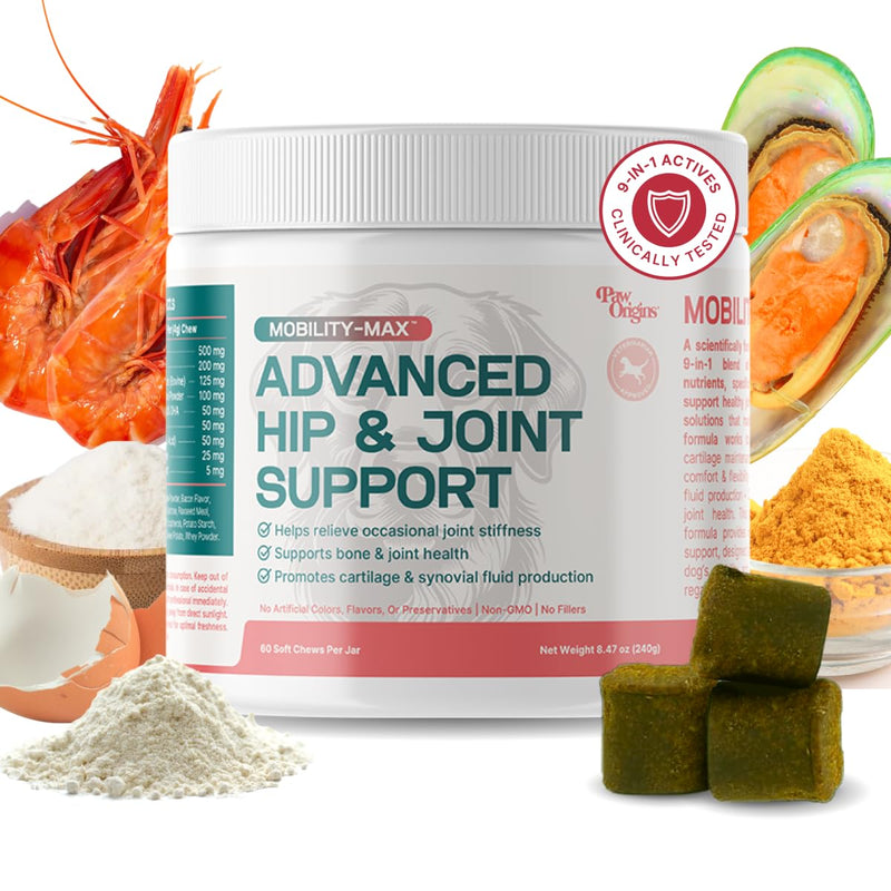 Mobility Max - Advanced Hip & Joint Supplement for Dogs - Glucosamine for Dogs - with Chondroitin, MSM, Vitamin C, for Hip and Joint Chews for Dogs - Natural Bacon Flavor - 60 Count - PawsPlanet Australia