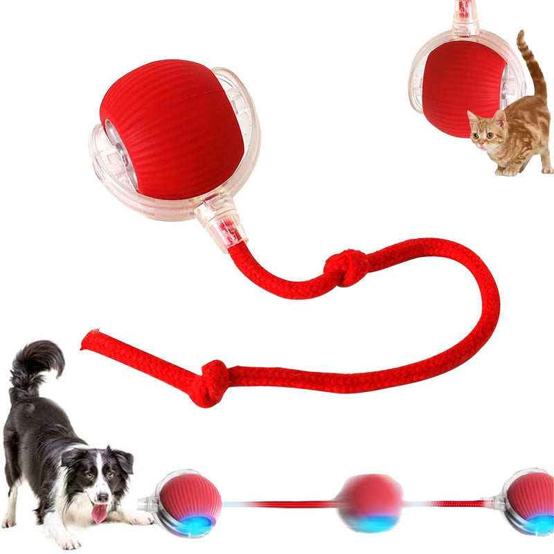 Interactive Rolling Dog Ball, Interactive Rolling Ball Dog Toy, Chewie Viral Rolling Ball, Active Rolling Ball for Dogs, 360° Smart Automatic Rolling Pet Ball(Red) (Red) Red - BeesActive Australia