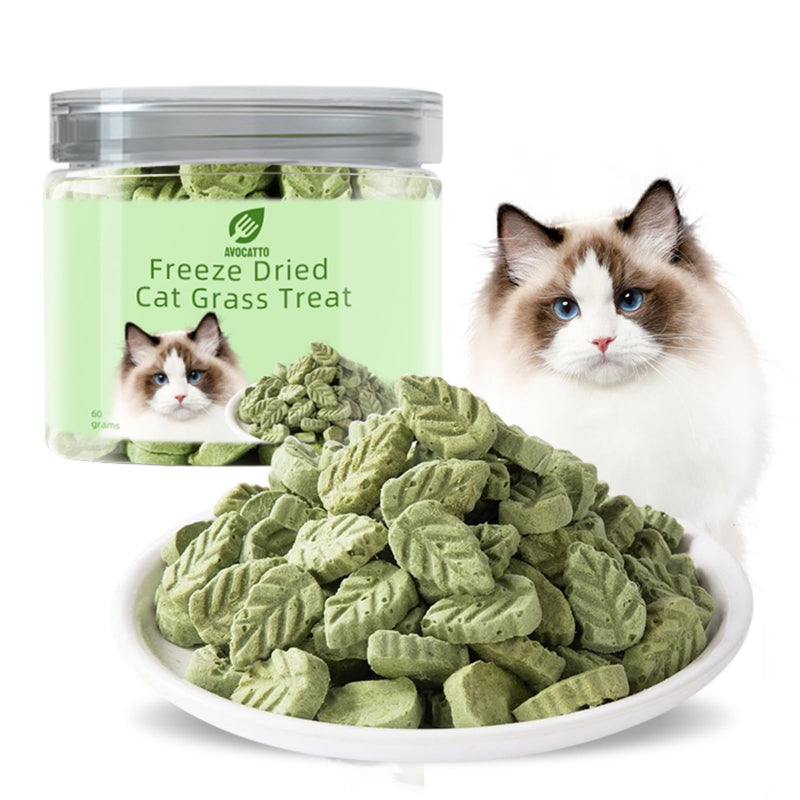 Cat Grass Sticks for Cat, Cat Grass Teething Stick Snack Canned for Indoor Cats, Cat Grass Treats for Teeth Cleaning and Hairball Relief - BeesActive Australia