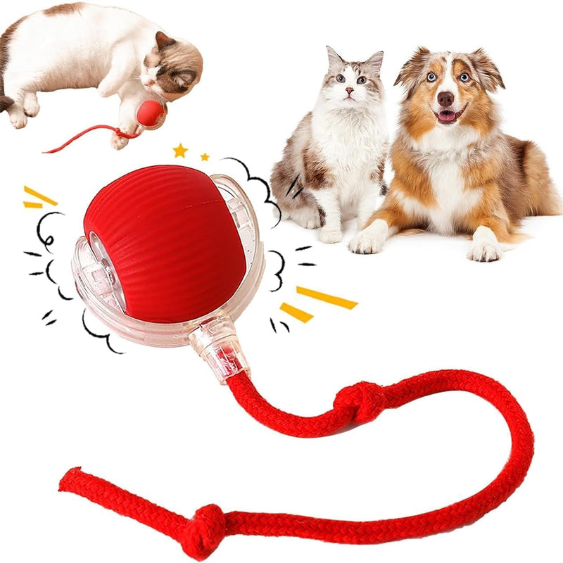 Interactive Cat Toys Rolling Ball, Chewie Viral Rolling Ball, Electric Dog Ball Toy, 360° Smart Automatic Cat Ball Toys for Bored Indoor Cats, Suitable for Large and Small Dogs and Cats - BeesActive Australia