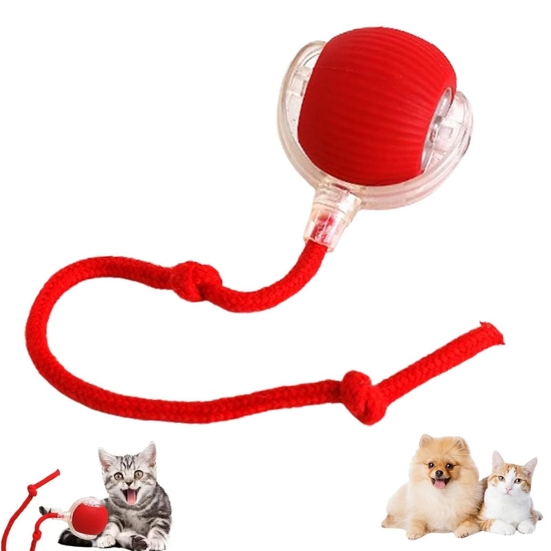 Interactive Cat Toys Balls, Interactive Rolling Dog Ball, Cat Toys Ball for Indoor Cats with Long Tail Fast Rolling on Carpet, Smart Automatic Rolling Pet Ball for Cat and Dog - BeesActive Australia