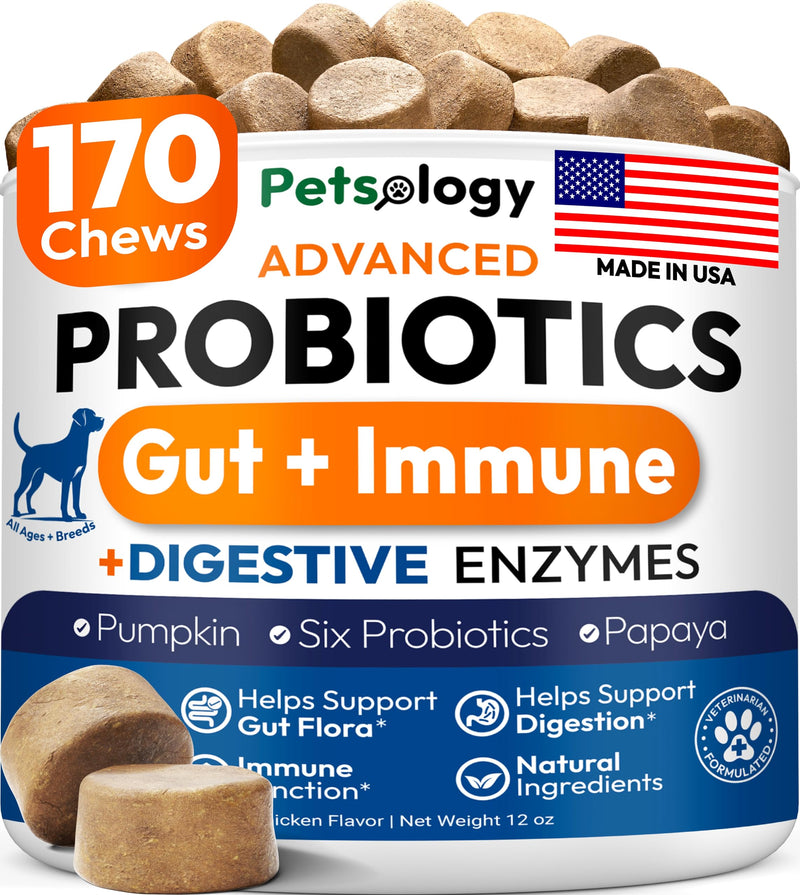 Probiotics for Dogs - 170 Dog Probiotics Chews - Digestive Enzymes & Prebiotics - Support Gut Health, Diarrhea, Gas & Constipation Relief - Itchy Skin, Allergies, Yeast Balance - Advanced Supplement 170 Chews Probiotic