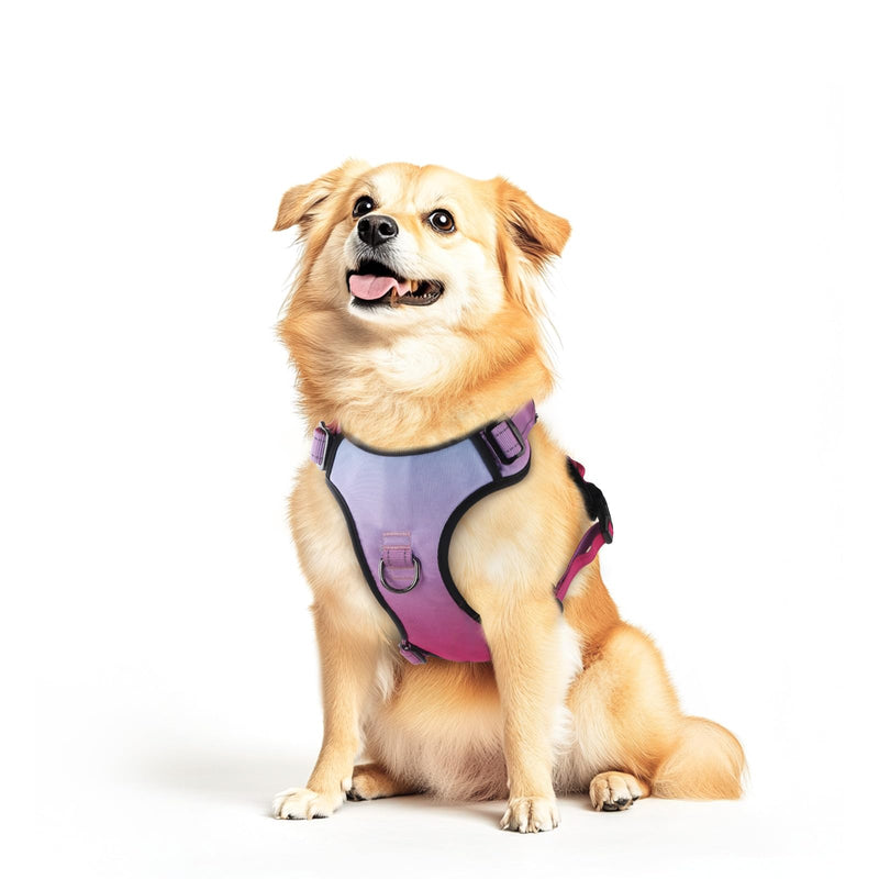 No Pull Dog Harness, Reflective Adjustable Dog Vest with Front/Back Clip Easy Control Handle for Medium Sized Large Small Dogs Walking Training Running(Small,Red) Red - BeesActive Australia