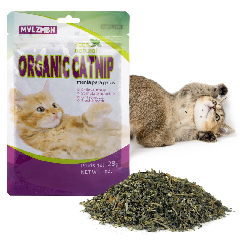 Organic 100% Natural Catnip Cattle Grass Mint Taste Funny Cat Toy New Cat Toy Interactive Cat Toys Pet Supplies - BeesActive Australia