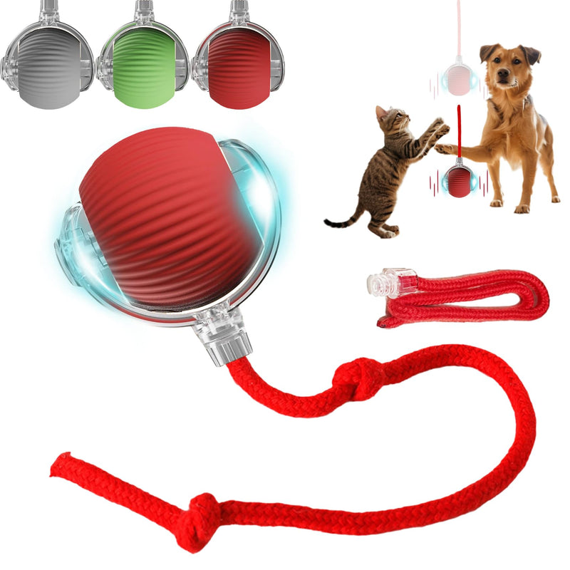 Interactive Dog Cat Toys Ball, Electric Rolling Ball Dog Toy, Automatic Moving Bouncing Toy Ball with Lights, Dog Toys to Keep Them Busy, Peppy Pet Ball for Bored Indoor Cats & Dogs (Red) Red - BeesActive Australia