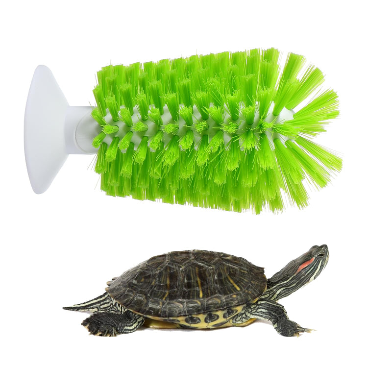 Amaxiu Turtle Brush, Turtle Exfoliate Brush with Suction Cup Turtle Scrub Brush for Shell Tortoises Back Scratches BrushTurtle Brush Green for Remove Turtle Shell Scutes Mud Dirt - BeesActive Australia