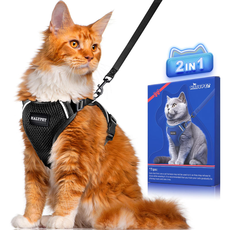 Cat Harness and Leash Set [ MAX Safety Third Generation ] Escape Proof Soft Adjustable Cat Leash Breathable Comfortable Vest Easy to Wear Kitten Harness for Outdoor Walking Black H200 Pro Black Medium - BeesActive Australia