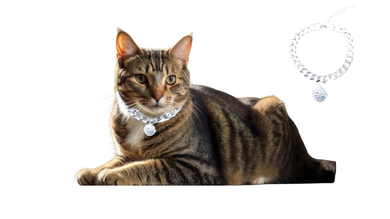 Silver Cat Chain Collar with Bell – Lightweight Metal Necklace for Long-Lasting Wear, Adjustable Jewelry Gift for Cats & Small Dogs(Silver, S) - BeesActive Australia