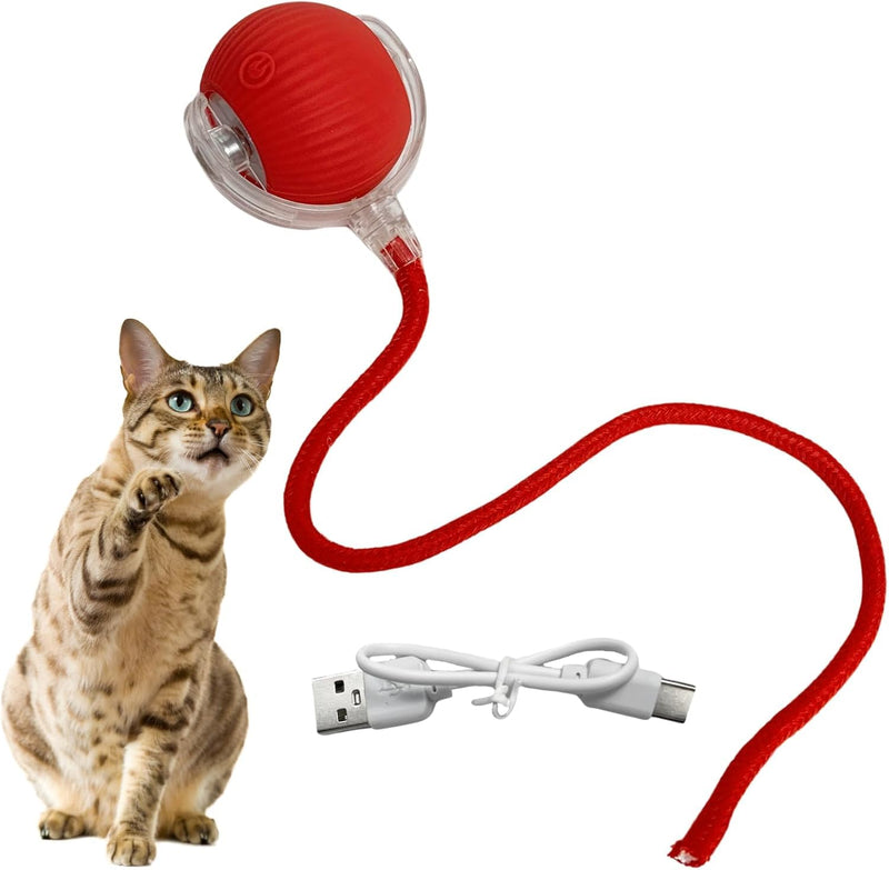 Interactive Rolling Cat Ball, 2025 New Electric Rolling Ball Cat Toy, Interactive Cat Dog Toys Ball,360° Smart Automatic Rolling Pet Ball, Fast Rolling Toy for Dog and Cat Red - BeesActive Australia