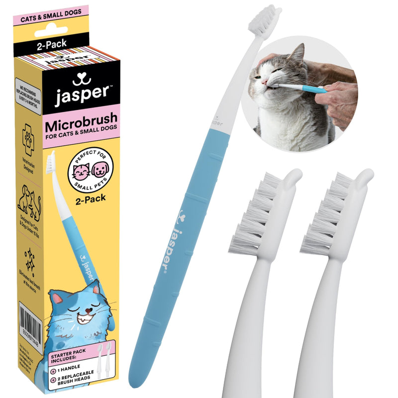 Jasper Microbrush Cat Toothbrush, Soft-Bristled Cat Toothbrush Kit for Cats, Puppies and Small Dogs, Premium Non-Slip Handle with 2 Replaceable Tooth Brush Heads, Use with Cat Toothpaste - BeesActive Australia