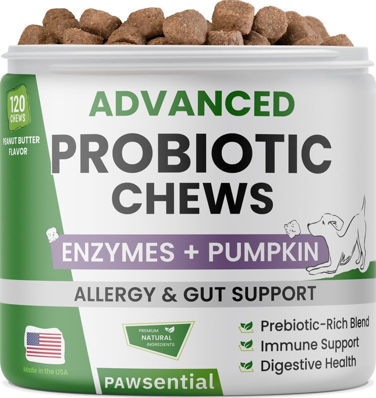 Probiotic, Enzyme, Prebiotic, Dog Chews for Digestive Support - Helps with Stool Consistency, Gas, Constipation, Diarrhea - 100 Chews (Pack of 1) - Classic Beef - BeesActive Australia