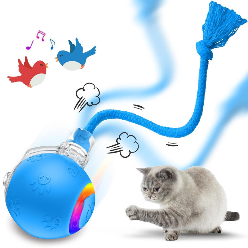 Cat Toys for Indoor Cats, Interactive Cat Toy, USB Rechargeable, Fast Rolling Dog Ball Toy On Rug, Bird Chirping & Motion Activated Cat Ball, Anti-Depression Pet Toy Fun Gift with Light, Blue - BeesActive Australia