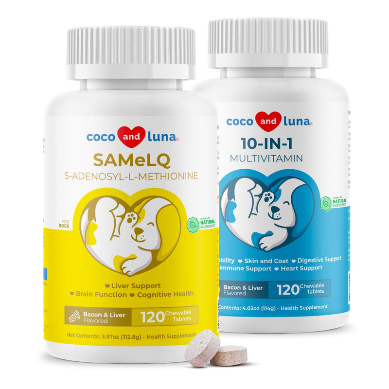 Same + 10 in 1 Multivitamin for Dogs - Liver Support, Hip and Joint Support, Skin Health, Immune Support and Digestive Health, Cognitive Health - PawsPlanet Australia