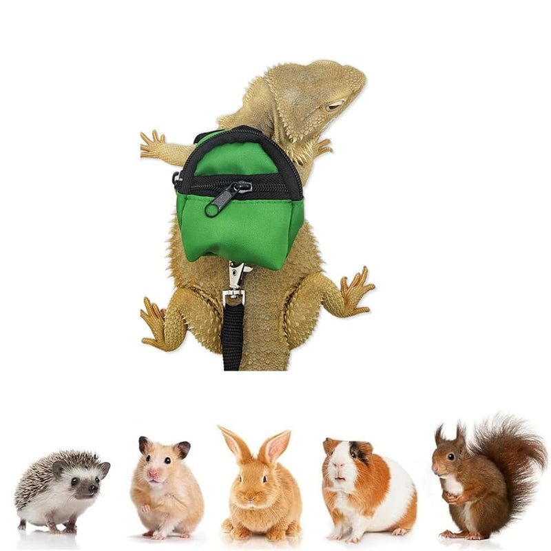 Bearded Dragons Harness Leashes Set Cute Backpack Back to School Design for Small Pets Reptile Lizard Crested Gecko Chameleon Rat Hamster Squrriel Ferret Photo Shoot (Green) Green - BeesActive Australia