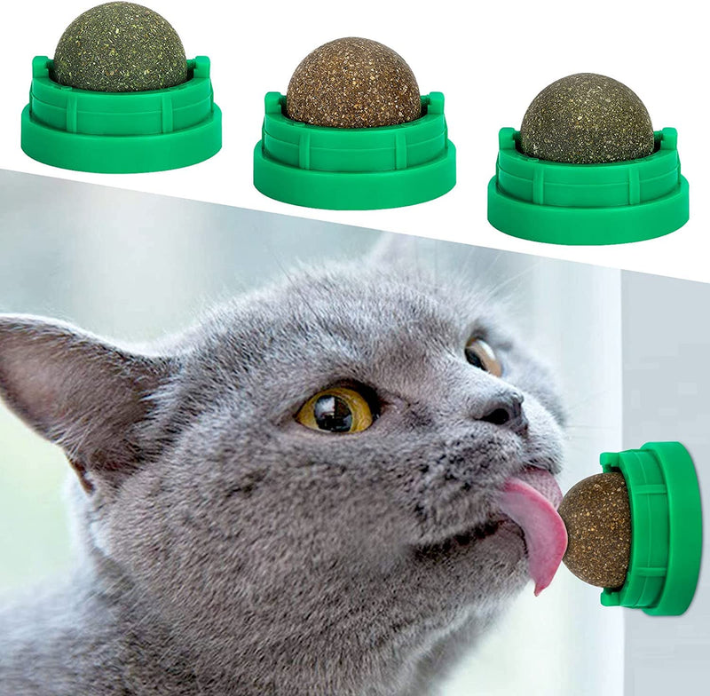 3 Pack Catnip Balls, Catnip Ball for Cats Wall, Edible Kitty Toys for Cats Lick, Safe Healthy Kitten Chew Toys, Teeth Cleaning Dental Cat Toys, Cat Wall Treats (Green) Green - BeesActive Australia