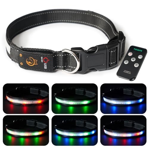 Light Up Dog Collar,Led Dog Collar,Rechargeable Waterproof Led Dog Collar with Remote,Led Dog Collar Breakaway,Glow in Dark Led Dog Collar,Dog Lights for Night Walking（Small） - BeesActive Australia
