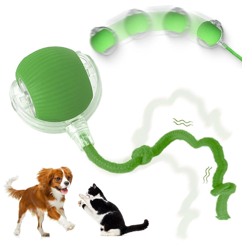 Interactive Rolling Pet Ball, Upgraded Electric Rolling Cat Toys Ball Self Moving Dog Toy, 360° Automatic Rolling Ball Toy Electric Pet Balls for Cats Dogs (Green) Green - BeesActive Australia