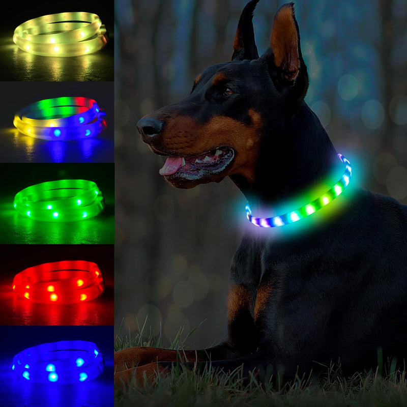 Dog Light Up Collar,Multicolor LED Dog Collar Rechargeable USB C,Rainproof Lighted Dog Glow Collar for Night Walking Cuttable for Large Medium Small Dogs Pet - BeesActive Australia